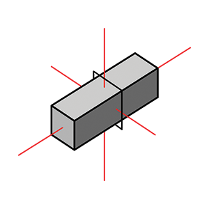 practice item stimulus image