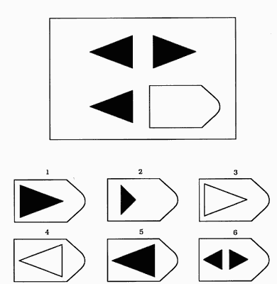 Ravens test item B3