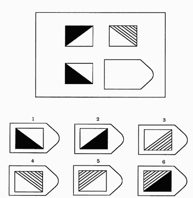 Ravens test item B6