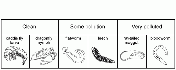 Science test question 3